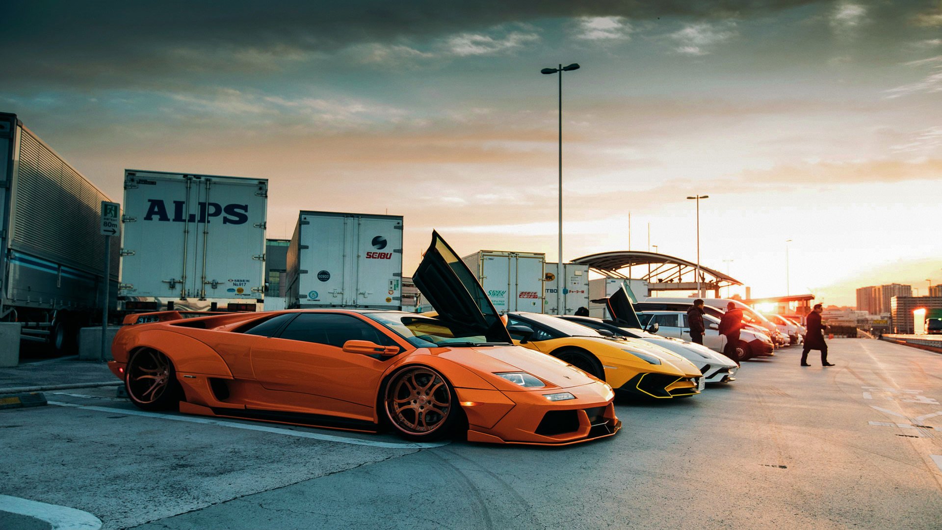 体育赛事观众互动新体验，观看体育赛事应注意哪些礼仪常识